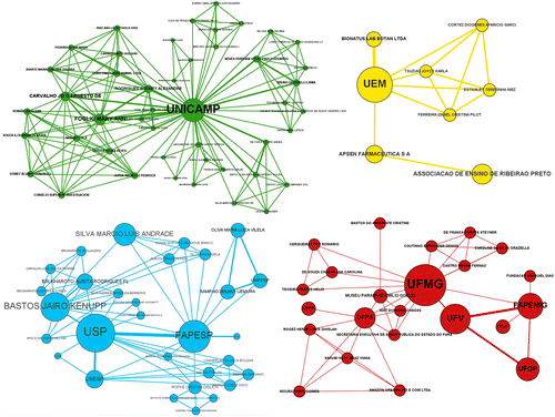 Ego network of the collaboration among the
largest assignees in quantity of patents for the sector of medicinal
preparations containing products of plant origin and that had Brazil as a
priority country