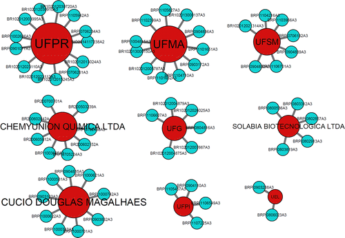 Components of the general (bipartite) network
showing assignees with a reasonable number of patents, but who do not establish
partnerships with other institutions in this sector
