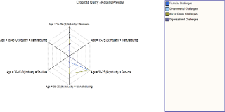 Crosstab query results showing cross-sectional results of barriers, age and industry