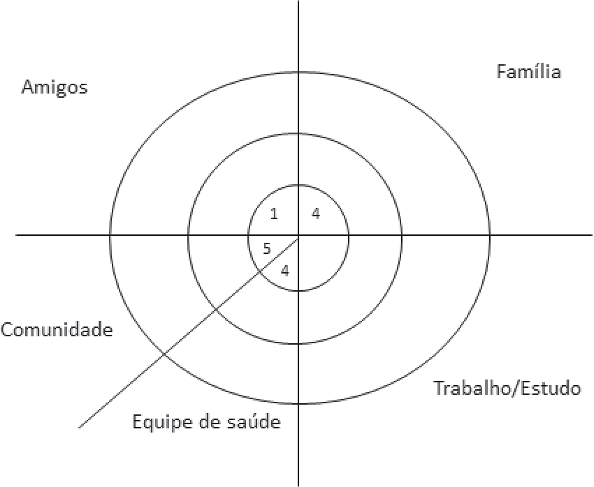 Map of social networks during the period of hospitalization and
								outpatient treatment (Friends, Family, Community, Healthcare Team,
								Work/Study).