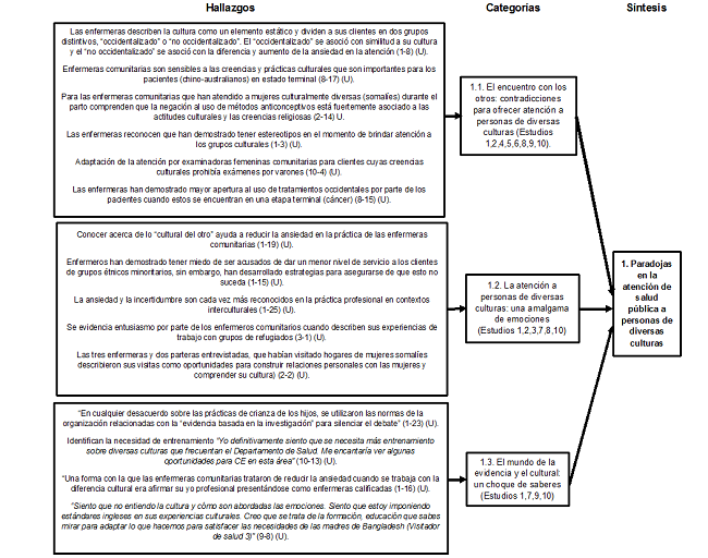 S&iacute;ntesis 1: paradojas
en la atenci&oacute;n en salud p&uacute;blica a personas diversas culturas