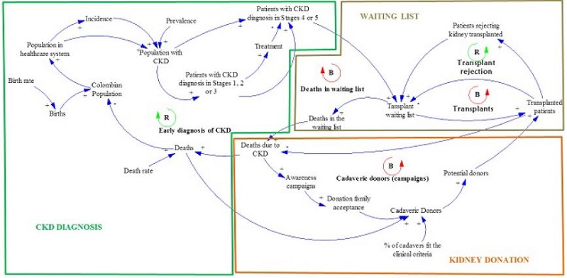 Causal Diagram: Kidney transplant and donation system in Colombia &ndash; Current scenario