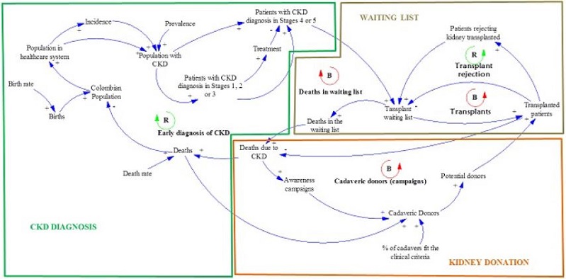 Causal Diagram: Kidney transplant and donation system in Colombia &ndash; Project 1: Amendment to Law 73 of 1988