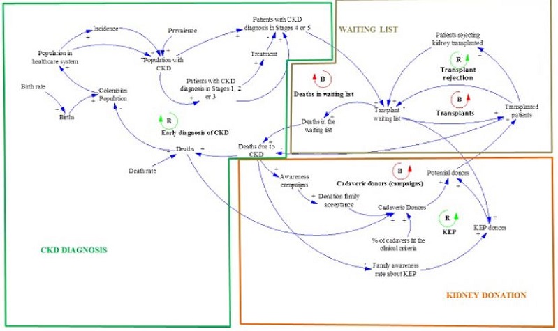 Causal Diagram: Kidney transplant and donation system in Colombia &ndash; Project 2: KEP