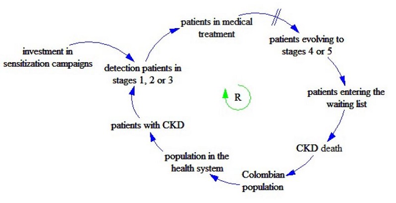 Causal Loop of Investment in Awareness Campaigns