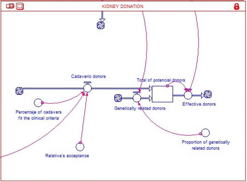 Stocks and Flows Model: Kidney donation
Subsystem - Amendment to Law 73 of 1988