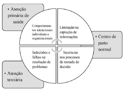 Racionalidade limitada aplicada ao CPN na rede de sa&uacute;de materno-infantil