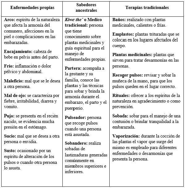 Medicina tradicional indígena. Sistematización de experiencia del Programa intercultural de PSC-I, Jambaló, Cauca, Colombia