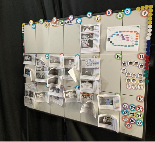 Monthly plan with magnets to program easily