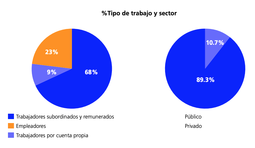 Tipo de trabajo y sector
