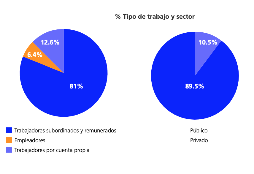 Tipo de trabajo y sector