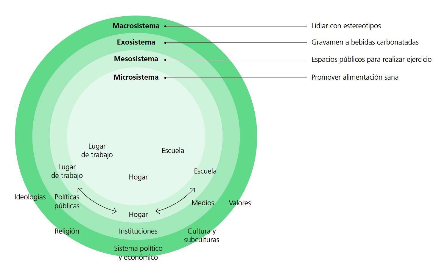 El modelo ecol�gico y la obesidad