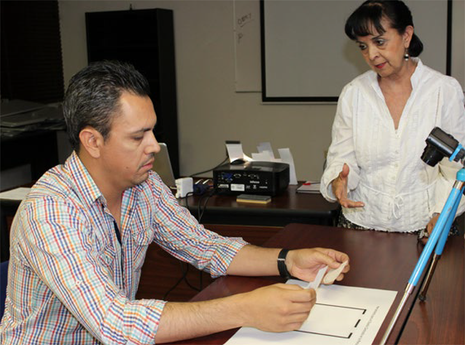 Dise�adora implementando un proyecto de investigaci�n