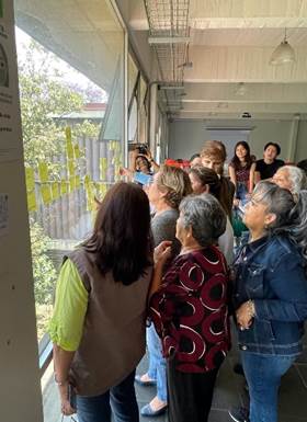 Clasificacin de las actividades realizadas por las personas mayores. 