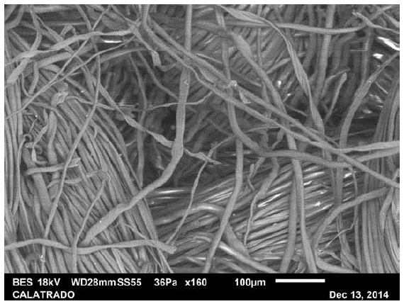 Figura microscópica de una pieza de calado