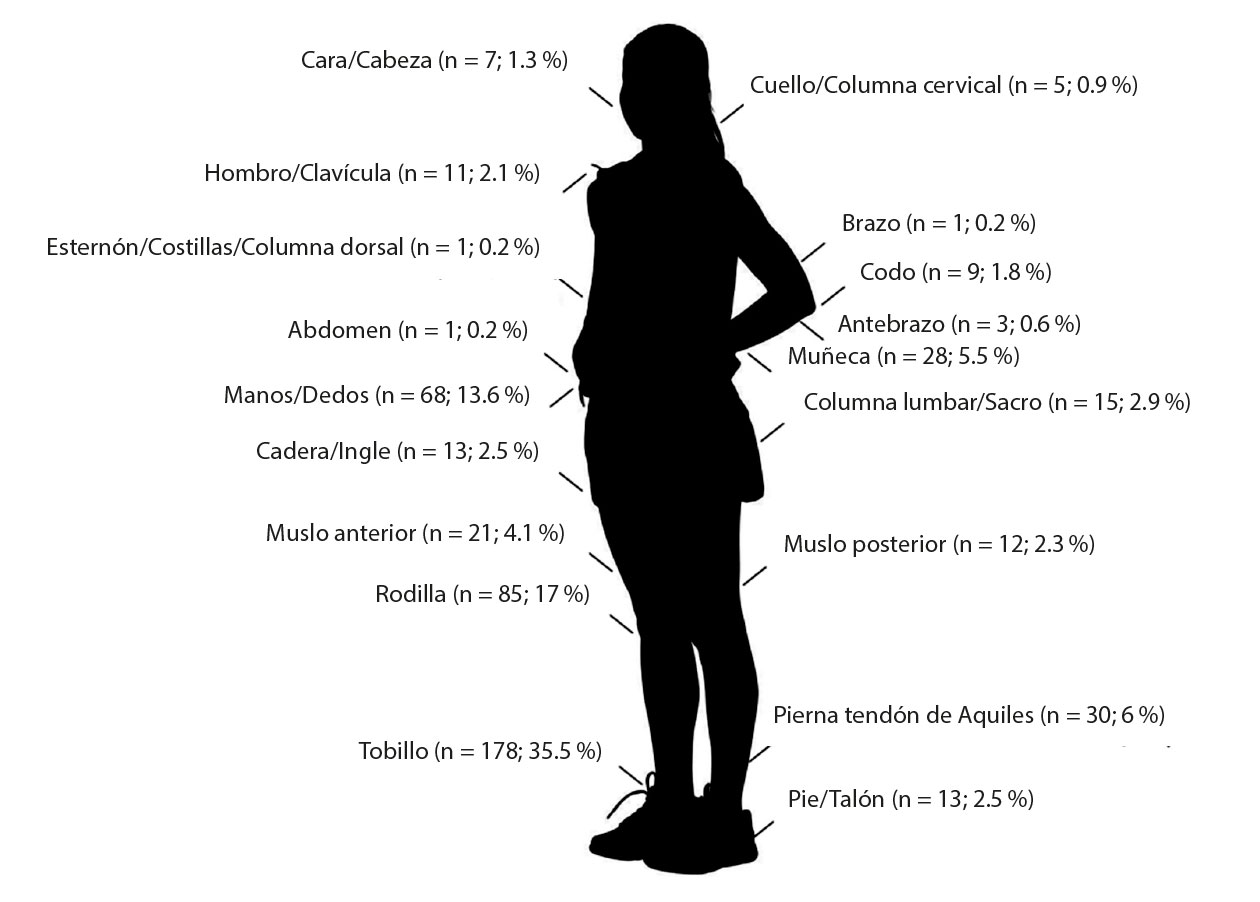 Nmero total de primeras lesiones padecidas y porcentaje segn localizacin anatmica. 