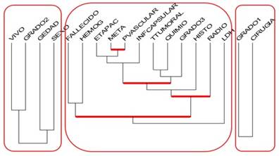 Agrupación de factores pronóstico según índice de similaridad (árbol de similaridad).