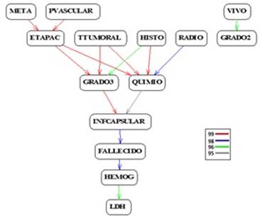 Grafo implicativo de las relaciones causales entre los factores pronóstico con 95% y más de intensidad implicativa.