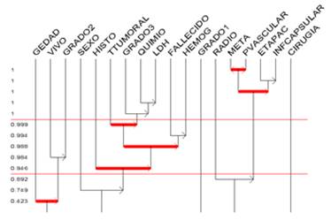 Relaciones causales entre factores pronósticos (árbol cohesitivo).
