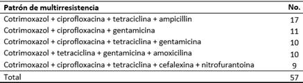 Multirresistencia antimicrobiana identificada en las cepas de la bacteria Escherichia coli aisladas en los urocultivos de los pacientes estudiados