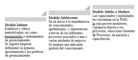 Madurez de una oficina de Gerenciamiento de Proyectos.