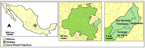 Localizaci�n de la regi�n Otom�-Tepehua