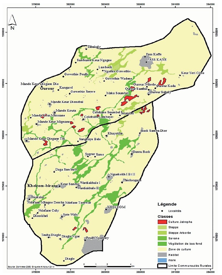 Occupation des terres de culture par Jatropha &agrave; Ourour