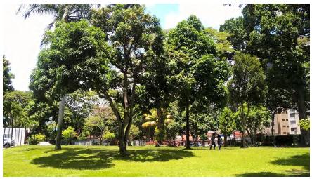 Centro de Arte La Estancia, jardines de acceso principal