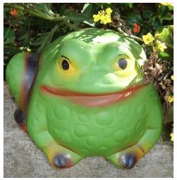 Simp&aacute;tico eco da natureza