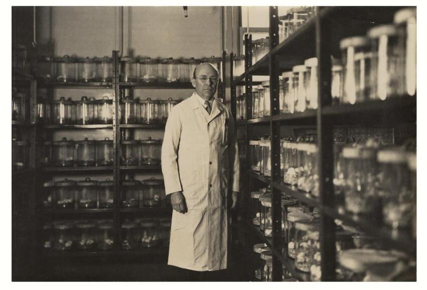 Wilbur Sawyer no Laborat&oacute;rio de Febre Amarela da DSI, em Nova Iorque (maio de 1935).