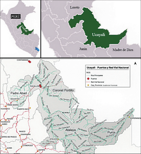 Ubicaci�n y red  v�as de Ucayali
