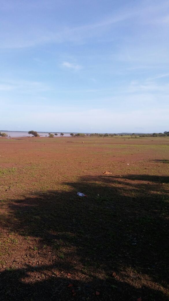Figura 9 - Terraços
e Planícies Flúvio-lacustre, presentes no município
de Buriti dos Lopes – Piauí