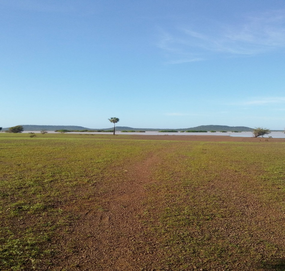 Figura 10 - Terraços
e Planícies Flúvio-lacustre, presentes no município
de Buriti dos Lopes – Piauí