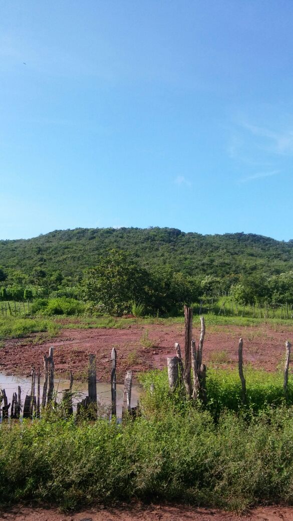 Figuras 7 – Representação da feição: Agrupamento de mesas
no município de Buriti dos Lopes – Piauí