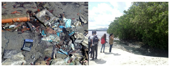 Figuras 8 e 9: Poluição na Praia das Pedrinhas e
no Mangue