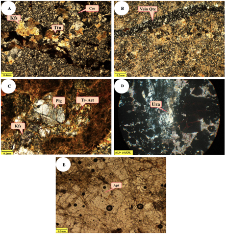 Figure 4   - Photomicrographs of iron ore host rock in IIC deposit. (A) Carlsbad twinning in feldspars intersertal texture (CPL), brown sphene and epidote (CPL).   )B) Filling with calcite and quartz veinlets (CPL). (C) Plagioclase crystallites altered to sericite (CPL). (D) Uralitization phenomenon from pyroxene (CPL). (E) Apatite needles developed on K-feldspar (PPL).
