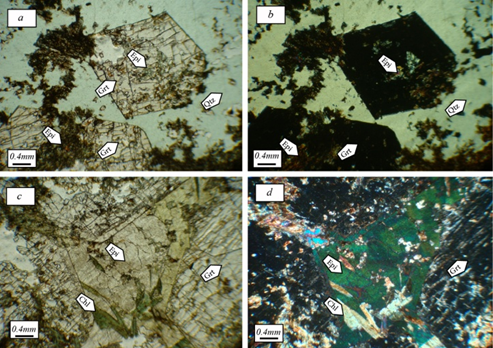 Figure 7 - Macroscopic Images of exoskarn zone of AghBolagh Copper Deposit