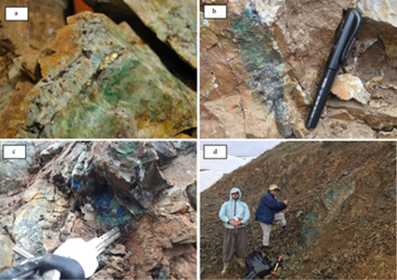 Figure 9 - a): A view of a manual quartz sample containing chalcopyrite, malachite, (b): quartzite vein containing copper mineralization (chalcopyrite, Chalcocite, malachite and azurite); (c) A view of azureite and Chrysocolla minerals, (D): A view of the quartz vein containing mineralization