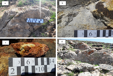 Figure 2 - a: A view of granite Intrusion with light color, b: A view of a granite Intrusion with pyrite mineral, c) A view of the alteration of iron minerals and the change in their color, d: A view of the granite outcrop of the AghBoglagh copper deposit