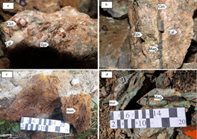 Figure 6 - Macroscopic Images of exoskarn zone of AghBolagh Copper Deposit