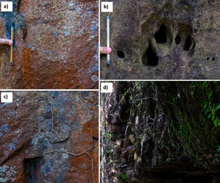Figura 5 &ndash; a) P&aacute;tina de oxidaci&oacute;n. b) Alv&eacute;olos de disoluci&oacute;n. c, d) Interacci&oacute;n biol&oacute;gica con la geodiversidad. En "c" presencia de l&iacute;quenes y termitas en las zonas de fractura, en "d" musgos y plantas depositadas en la roca