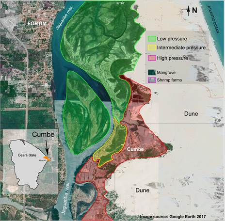 Figure 2 - Different harvesting areas in the Cumbe area. Pressure is qualitatively defined in three ways: distance from the village, accessibility (road vicinity) and impacts of shrimp farms