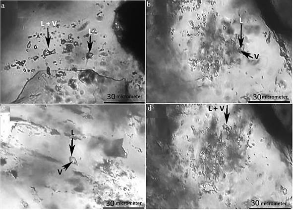 Figure 10 - Images of inclusions in rocks from Ramand area (scale bar = 30 &micro;m) (a) Two-phase inclusions (L+V) consists of a gas phase (V) and liquid water (L) (800x magnification, from sample 5A), (b) two-phase inclusions rich in liquid (from sample 5A), (c) two-phase inclusions rich in liquid (from sample 5A) and (d) two-phase inclusions rich in liquid (from sample 5A).