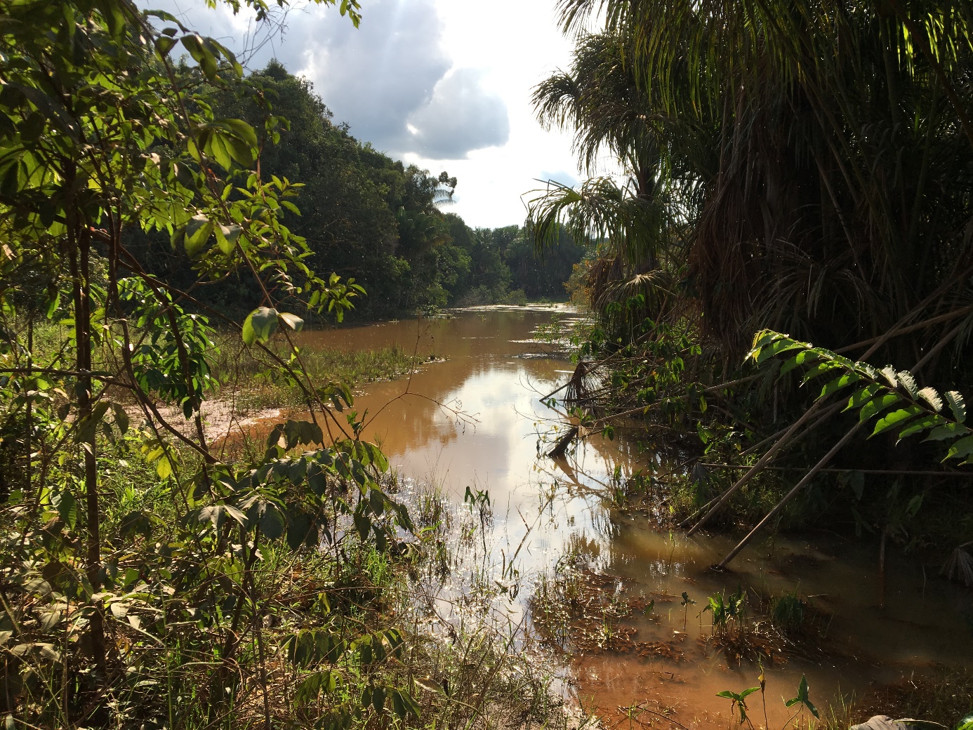 Figura 9 - Exemplo da classe de baixo potencial à erosão laminar.