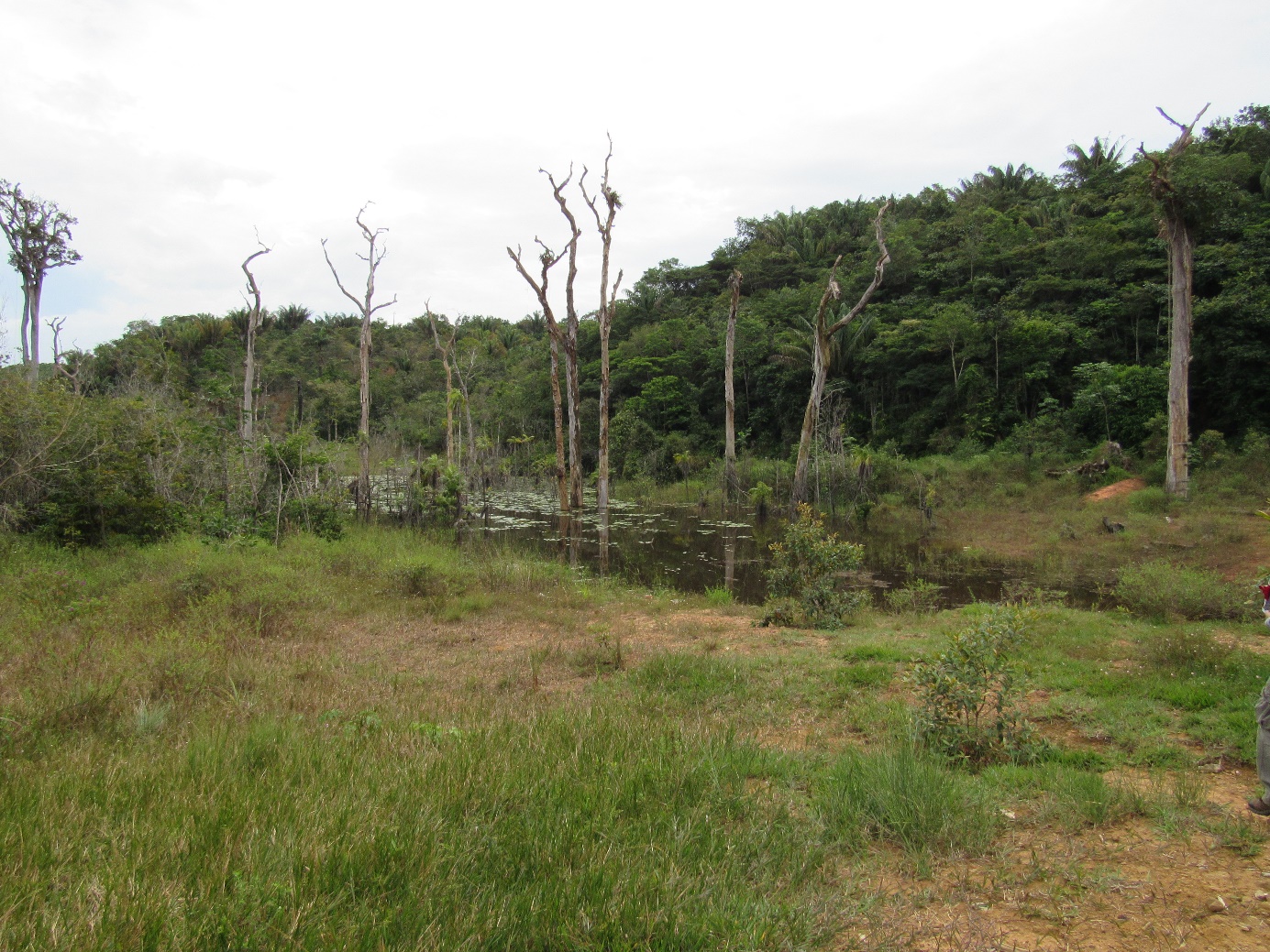 Figura 10 - Médio potencial erosivo na área de estudo.