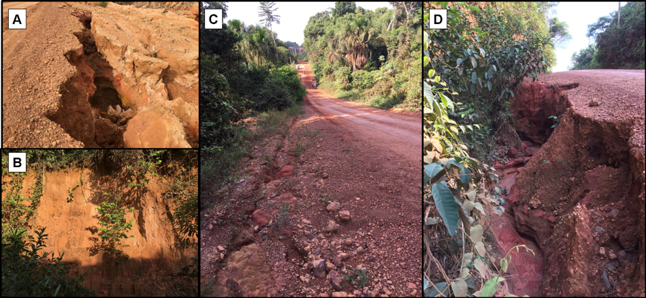 Figura 11 - Potencial erosivo alto a muito alto. A) Sulcos erosivos em vicinais. B) Parede de voçoroca. C) vicinal recém-aberto e D) Ravinamento na cabeceira da voçoroca.