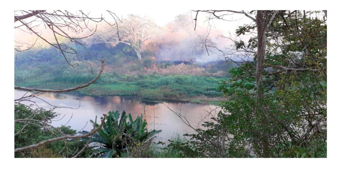 Figura 13 – Incendio en la Estacin Experimental Forestal Horizontes en el margen del ro Tempisquito, 2020