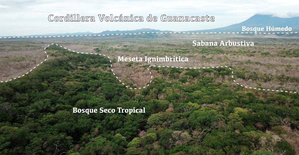 Figura 3 – Ecosistemas en la meseta ignimbrtica en el Parque Nacional Guanacaste