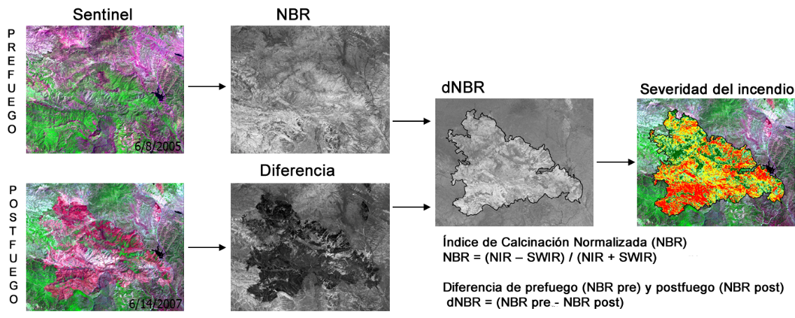 Figura 4 – Flujo de trabajo para la estimacin del ndice de Calcinacin Normalizada y severidad del incendio con imgenes multiespectrales