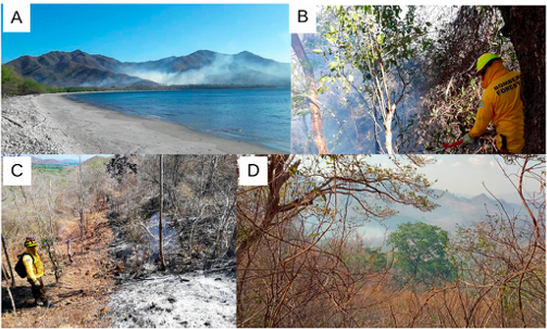Figura 6 – (a) Incendio en Playa Blanca. (b) Incendio dentro del rea protegida. (c) Quema en el lmite del Parque Nacional Santa Rosa. (d) Incidente en el lmite con Cuajiniquil